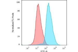 Flow Cytometric Analysis of PFA-fixed Jurkat cells using CD45RA Mouse Monoclonal Antibody (PTPRC/818) followed by Goat anti- Mouse- IgG-CF488 (Blue); Isotype Control (Red). (CD45 Antikörper)