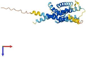 INSIG2 Protein (AA 1-225) (His tag)