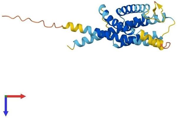 INSIG2 Protein (AA 1-225) (His tag)