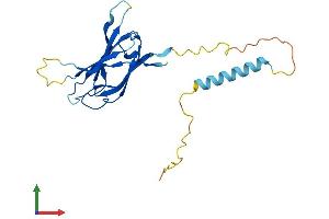 AlphaFold protein structure predicition of Mouse Recombinant Nicn1 Protein, UniprotID Q9CQM0 (NICN1 Protein (AA 1-213) (His tag))