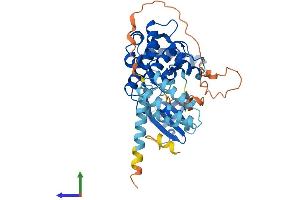 Protein Structure (PS) image for serine/threonine Kinase 25 (STK25) (AA 1-426) protein (His tag) (ABIN7544036)