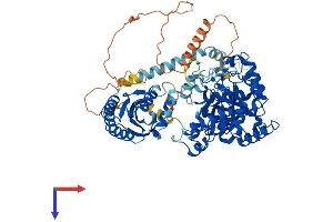 TYW1 Protein (AA 1-721) (His tag)