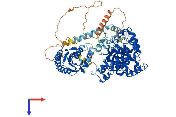 TYW1 Protein (AA 1-721) (His tag)