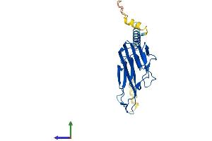 AlphaFold protein structure predicition of Human Recombinant TNF Protein, UniprotID P01375 (TNF alpha Protein (AA 1-233) (His tag))