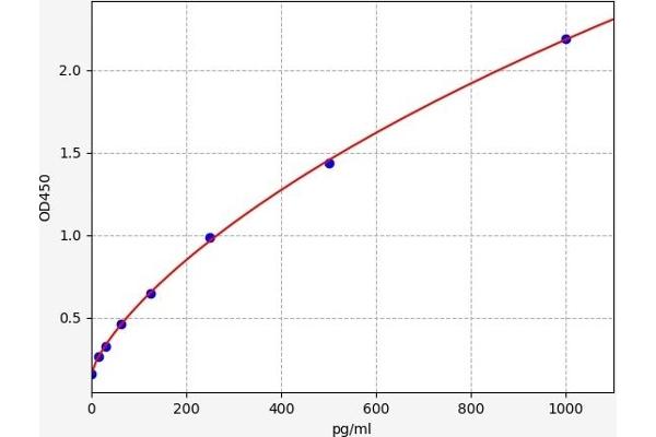 ARHGAP21 ELISA Kit