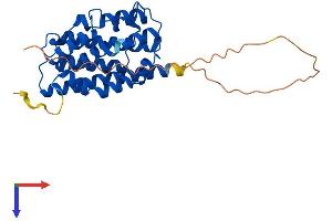 HMOX1 Protein (AA 1-288) (His tag)
