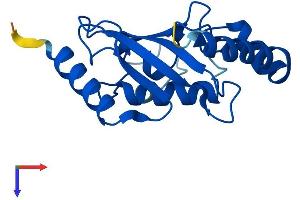 UBE2G1 Protein (AA 1-170) (His tag)
