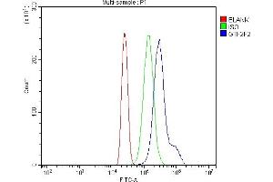 Flow Cytometry analysis of HL-60 cells using anti-GTF2F2 antibody (ABIN7599927).
