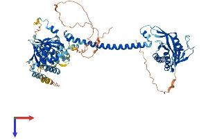 GUCY1A2 Protein (AA 1-732) (His tag)