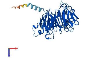 THOC6 Protein (AA 1-341) (His tag)