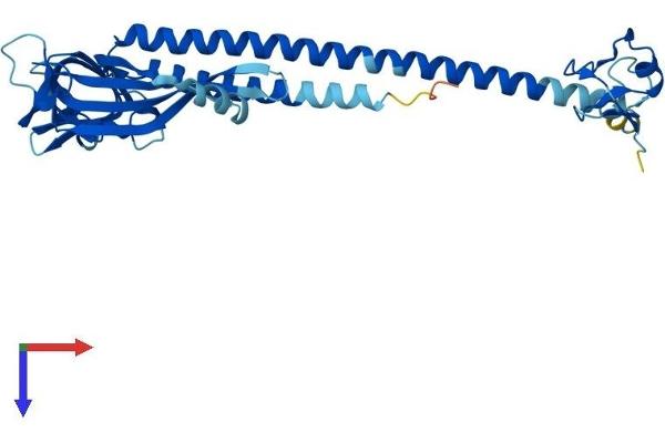 MUL1 Protein (AA 1-352) (His tag)