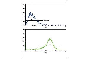 Flow cytometric analysis of HepG2 cells using PIGR Antibody (C-term)(bottom histogram) compared to a negative control (top histogram). (PIGR Antikörper  (C-Term))