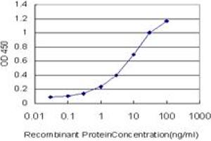 ELISA image for anti-Calcium Responsive Transcription Factor (CARF) (AA 621-719) antibody (ABIN599306) (Calcium Responsive Transcription Factor (CARF) (AA 621-719) Antikörper)