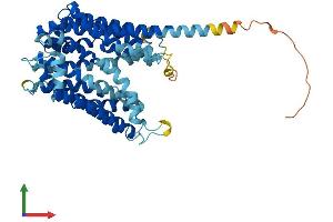 Protein Structure (PS) image for Ankylosis, Progressive Homolog (Mouse) (ANKH) (AA 1-492) protein (His tag) (ABIN7561526)