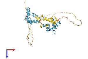 CABP4 Protein (AA 1-275) (His tag)