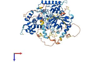 GNL1 Protein (AA 1-607) (His tag)