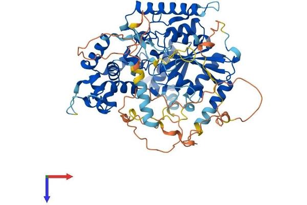 GNL1 Protein (AA 1-607) (His tag)