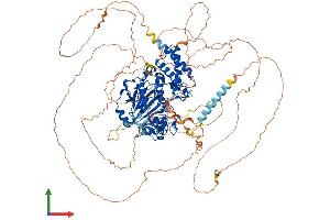 Protein Structure (PS) image for PHD Finger Protein 8 (PHF8) (AA 1-1060) protein (His tag) (ABIN7554923)