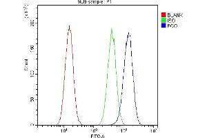 Flow Cytometry analysis of A549 cells using anti-FGG antibody (ABIN4886589). (FGG Antikörper  (N-Term))