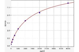 Caspase 1 ELISA Kit