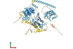 Protein Structure (PS) image for Chromodomain Helicase DNA Binding Protein 1-Like (CHD1L) (AA 1-897) protein (His tag) (ABIN7553368)
