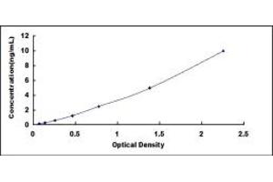 NPX1 ELISA Kit