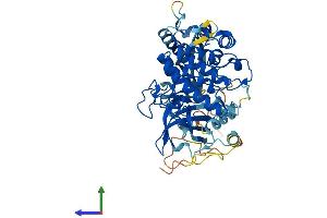Protein Structure (PS) image for serum/glucocorticoid Regulated Kinase Family, Member 3 (SGK3) (AA 1-496) protein (His tag) (ABIN7555445)