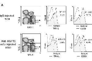 Flow Cytometry (FACS) image for anti-Heat Shock Protein 70 (HSP70) antibody (ABIN361708)