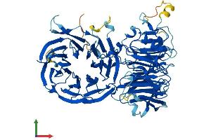 Protein Structure (PS) image for Cirrhosis, Autosomal Recessive 1A (Cirhin) (CIRH1A) (AA 1-686) protein (His tag) (ABIN7555982)
