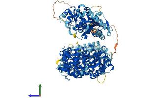 Protein Structure (PS) image for 2'-5' Oligoadenylate Synthetase 3 (OAS3) (AA 1-1087) protein (His tag) (ABIN7554813)