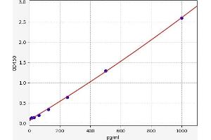 Cardiac Troponin T (cTnT) ELISA Kit