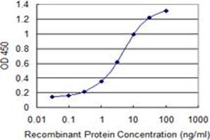 Detection limit for recombinant GST tagged FREQ is 0. (NCS1 Antikörper  (AA 1-190))