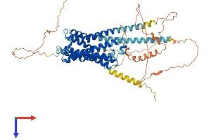 CHRM3 Protein (AA 1-589) (His tag)