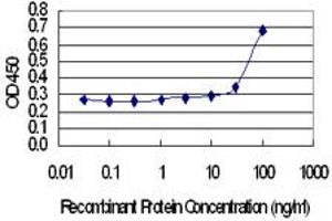 Detection limit for recombinant GST tagged MYLK4 is 10 ng/ml as a capture antibody. (MYLK4 Antikörper  (AA 3-100))