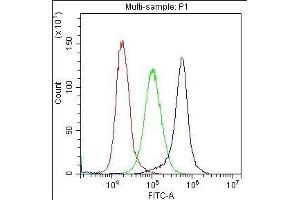 Flow Cytometry analysis of K562 cells using anti-CD59 antibody . (CD59 Antikörper  (AA 26-102))