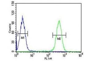 HDAC2 antibody flow cytometric analysis of K562 cells (right histogram) compared to a negative control (left histogram).