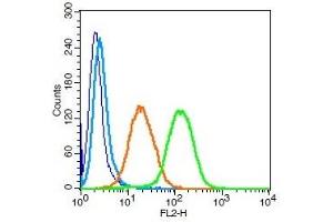 Flow Cytometry (FACS) image for anti-Poliovirus Receptor-Related 2 (Herpesvirus Entry Mediator B) (PVRL2) (AA 251-350) antibody (ABIN749018)