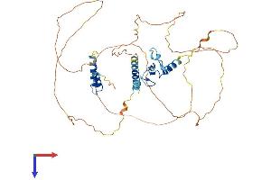 INTS12 Protein (AA 1-462) (His tag)