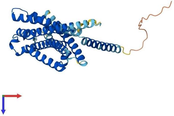 G Protein-Coupled Receptor 119 Protein (GPR119) (AA 1-335) (His tag)