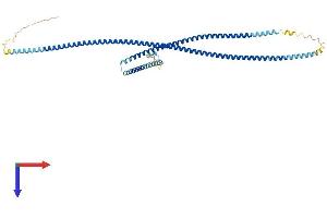 GAS8 Protein (AA 1-478) (His tag)