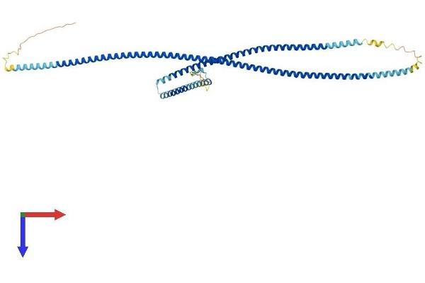 GAS8 Protein (AA 1-478) (His tag)