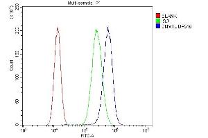 Flow Cytometry analysis of A549 cells using anti-DRP1/DNM1L antibody (ABIN7602180). (Dynamin 1-Like Antikörper  (AA 618-736))