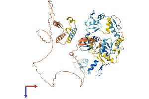 ZNF214 Protein (AA 1-606) (His tag)