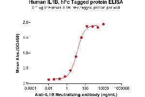 ELISA image for Interleukin 1, beta (IL1B) (AA 117-269) protein (Fc Tag) (ABIN6964158)