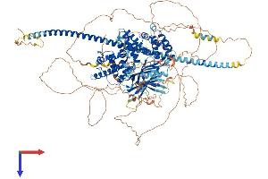 DAB2IP Protein (AA 1-1189) (His tag)