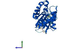AlphaFold protein structure predicition of Mouse Recombinant Pigl Protein, UniprotID Q5SX19
