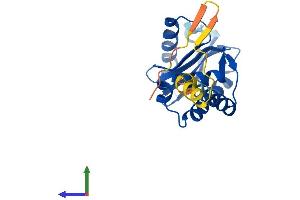 AlphaFold protein structure predicition of Mouse Recombinant Ap3s1 Protein, UniprotID Q9DCR2 (AP3S1 Protein (AA 1-193) (His tag))