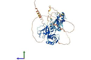 Protein Structure (PS) image for Heterogeneous Nuclear Ribonucleoprotein L-Like (HNRPLL) (AA 1-591) protein (His tag) (ABIN7560190)