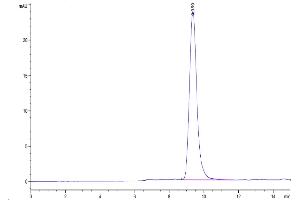 Size-exclusion chromatography-High Pressure Liquid Chromatography (SEC-HPLC) image for Epidermal Growth Factor Receptor (EGFR) (AA 25-645) protein (His tag) (ABIN7274521)