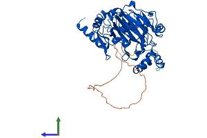 Protein Structure (PS) image for Jumonji Domain Containing 6 (JMJD6) (AA 1-403) protein (His tag) (ABIN7554277)